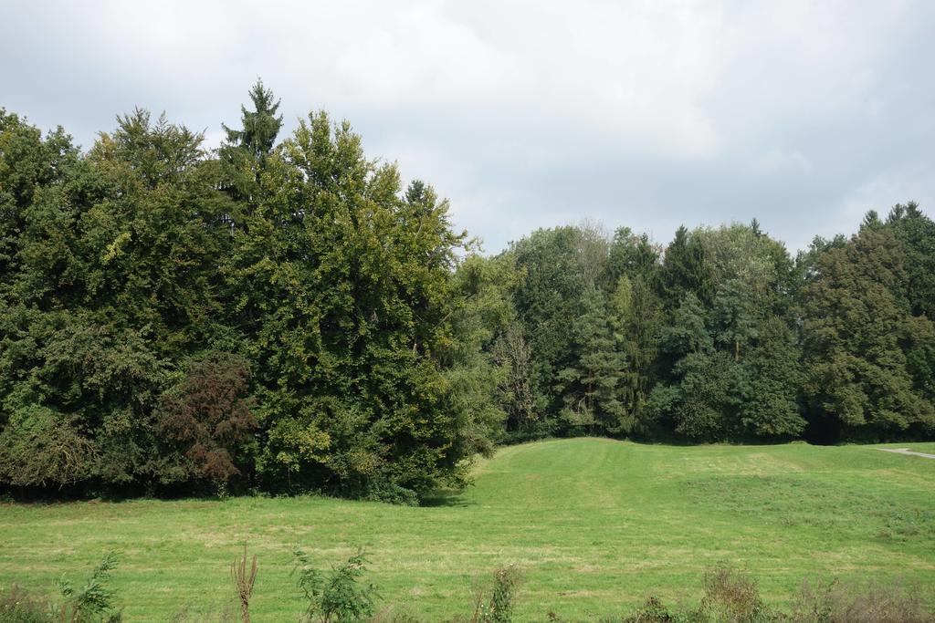 Hotel Frauenfeld Szoba fotó
